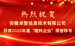 熱烈祝賀安徽（huī）国产99视频精品一区信息技術有限（xiàn）公司獲得2020年度“瞪羚企（qǐ）業（yè）”榮譽（yù）稱號